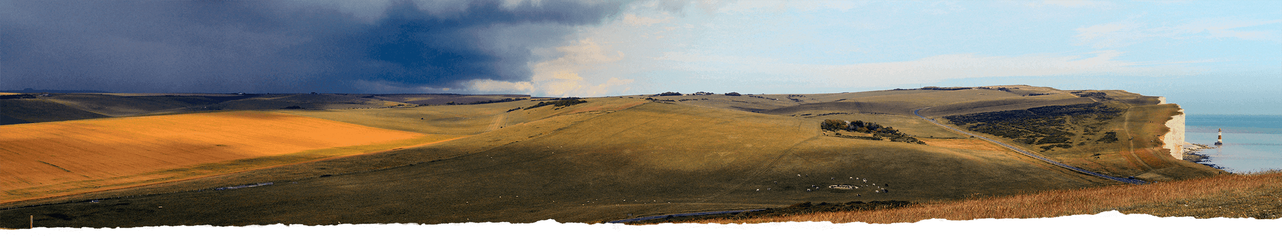 Panoramic view of rolling green chalk grassland meeting the dramatic white cliffs of the South Downs National Park and the sea.